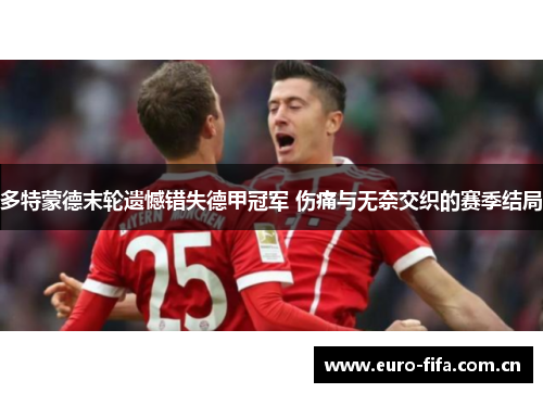 多特蒙德末轮遗憾错失德甲冠军 伤痛与无奈交织的赛季结局